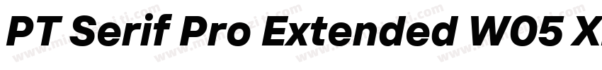 PT Serif Pro Extended W05 XBdIt字体转换